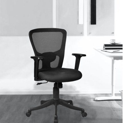 Helix Mesh/Fabric Mid Back chair and Lumbar support